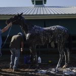 Preakness Stakes allows Medina Spirit to enter with extra drug testing