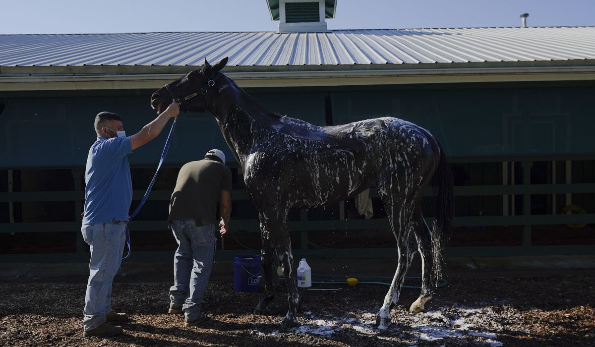 Preakness Stakes allows Medina Spirit to enter with extra drug testing