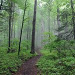 A Biography for the 2,190 Miles of the Appalachian Trail