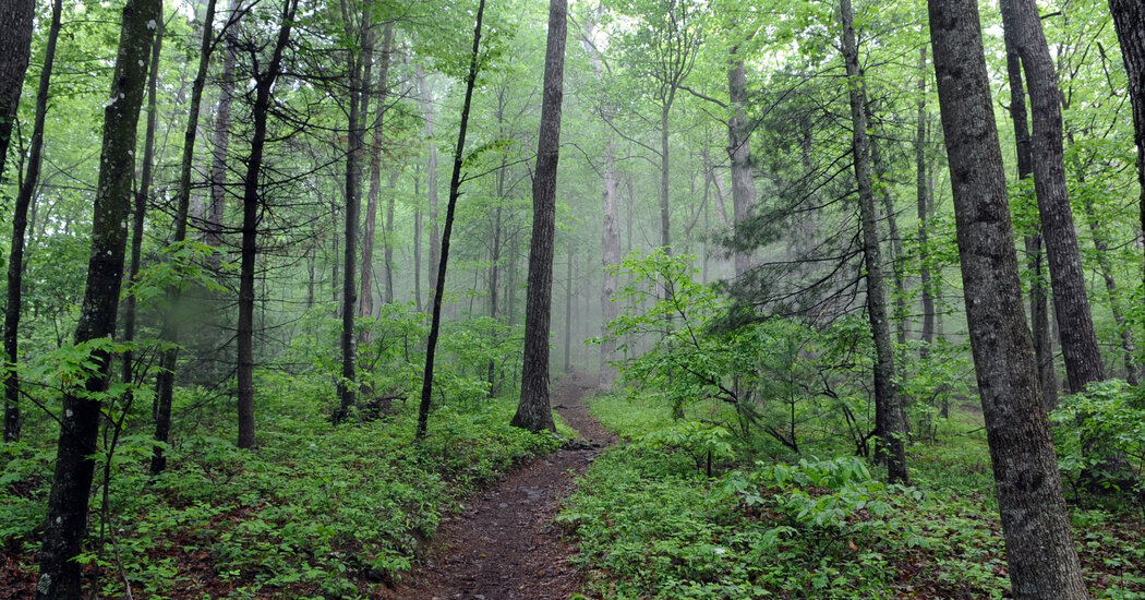 A Biography for the 2,190 Miles of the Appalachian Trail