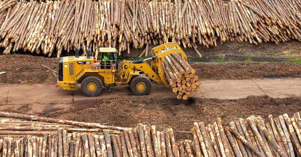 As Lumber Prices Fall, the Threat of Inflation Loses Its Bite