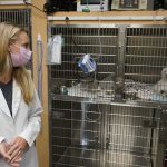 Veterinarians face high demand to treat pets amid adoption boom, staff shortages