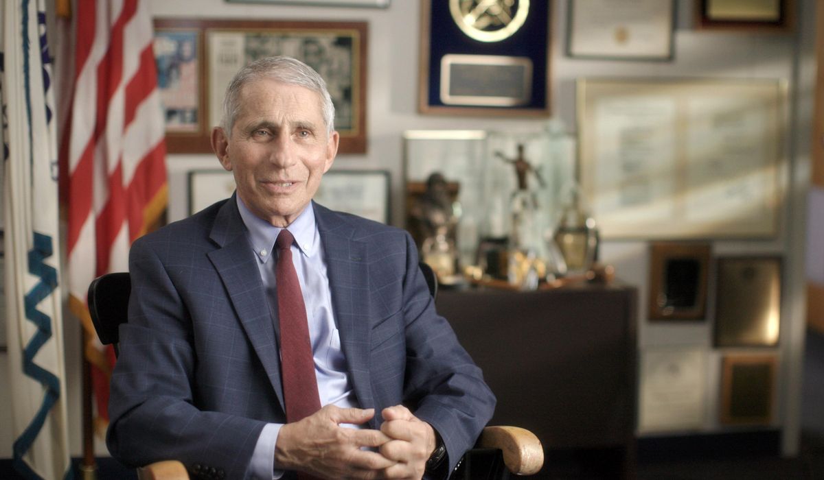 ‘No reason at all’: Fauci OKs holiday festivities for vaccinated Americans