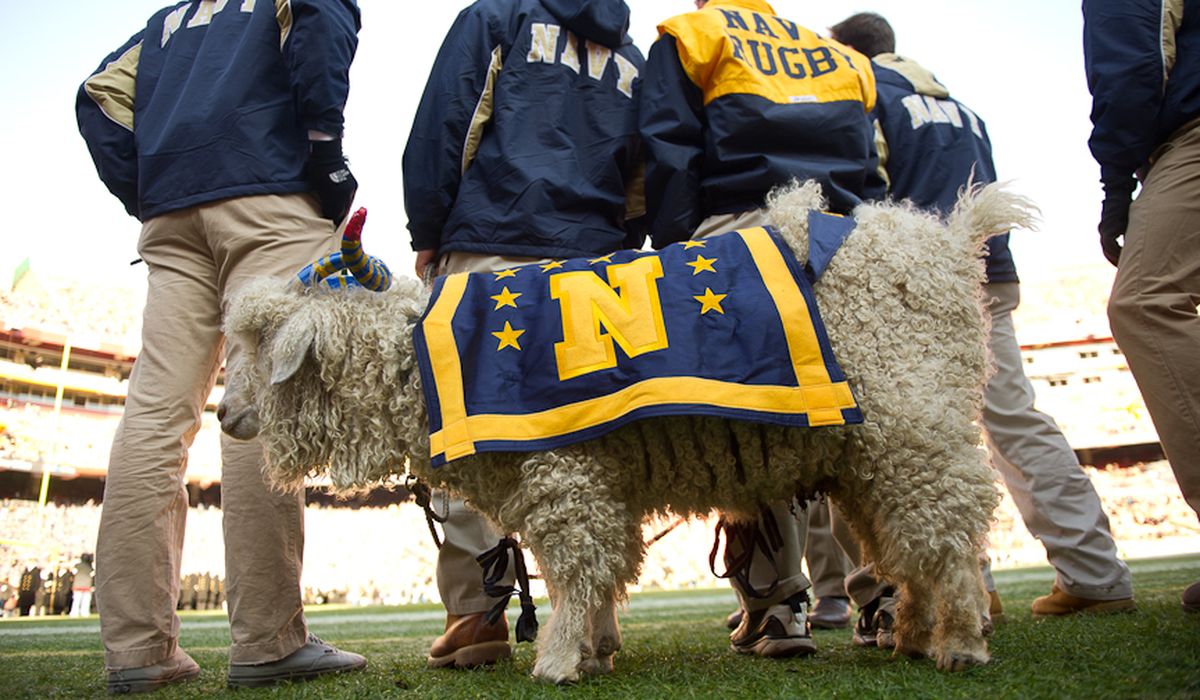 Got the wrong goat: West Point cadets try to nab Navy mascot