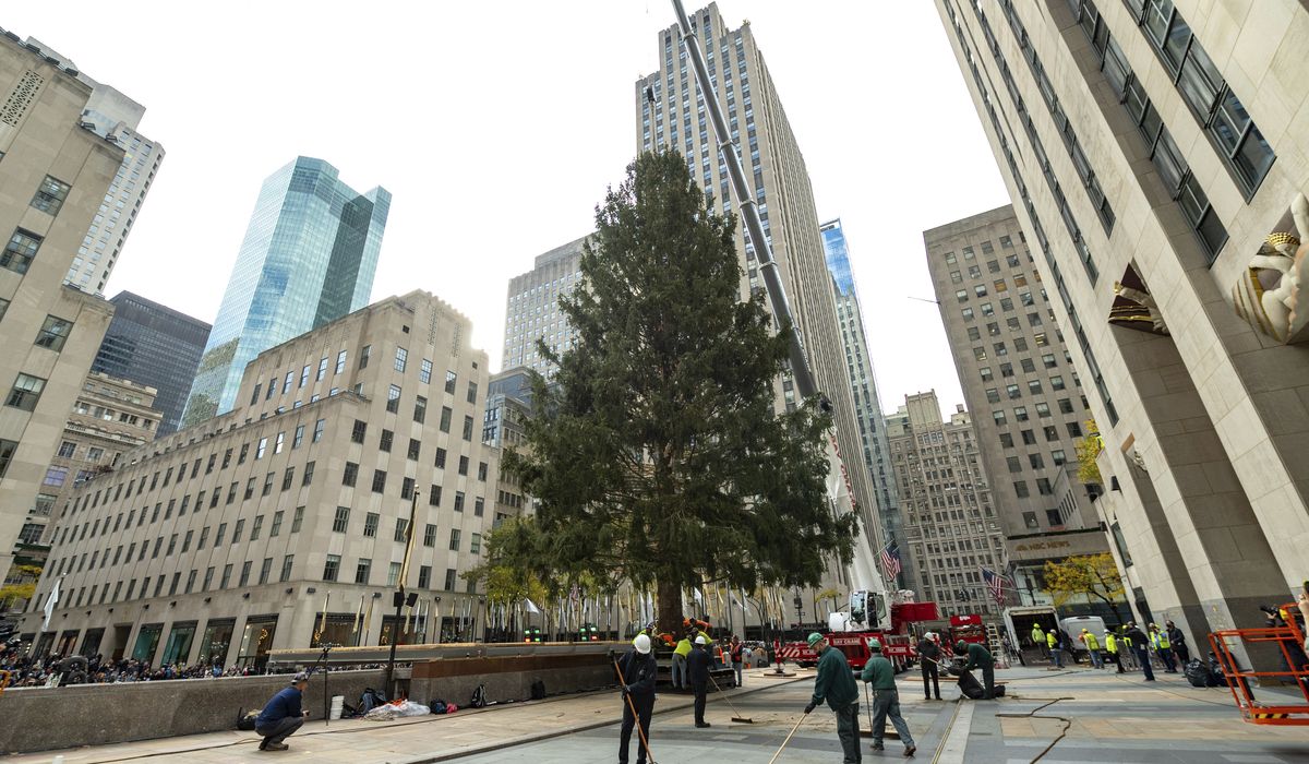 Home for the holidays: Rockefeller tree arrives in NYC