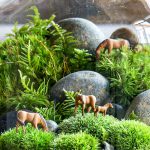 How to Build a Terrarium, So It’s Always Gardening Season