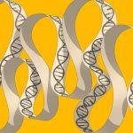 The Gene-Synthesis Revolution