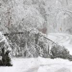 Snow stalls Amtrak in Virginia, with excruciating delays