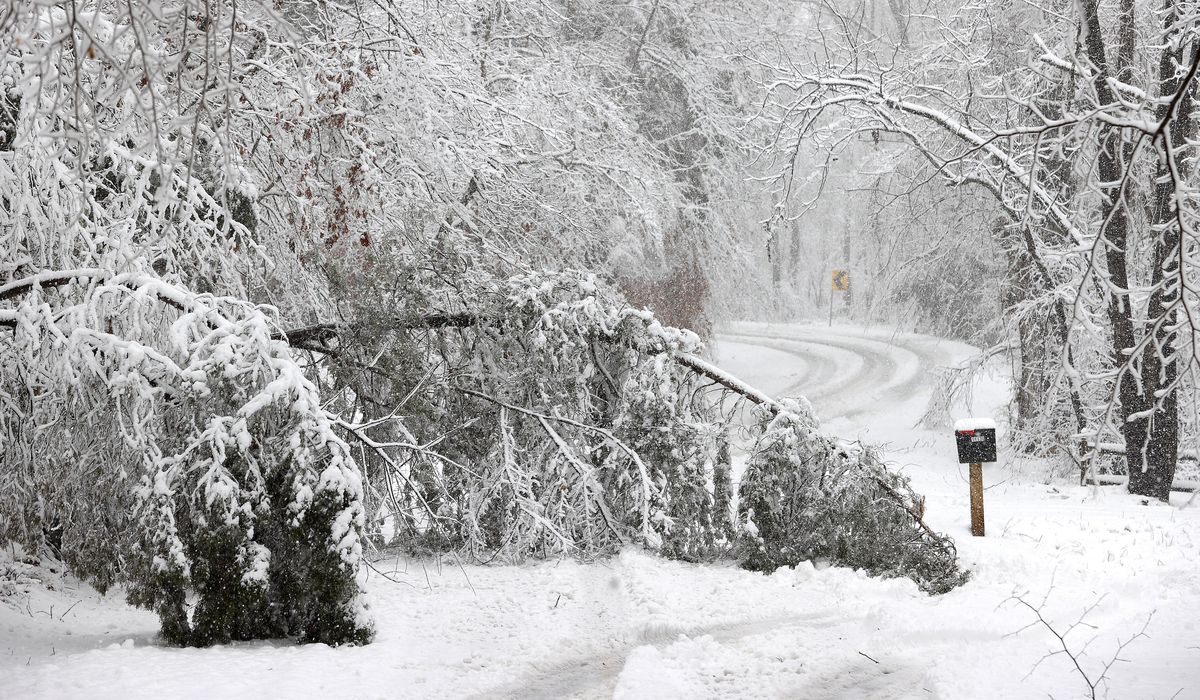 Snow stalls Amtrak in Virginia, with excruciating delays