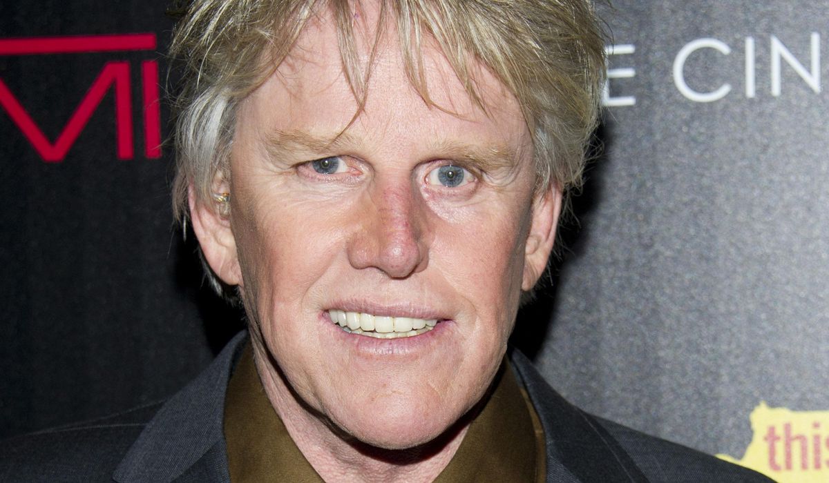 Gary Busey charged with sex offenses at Monster-Mania Con